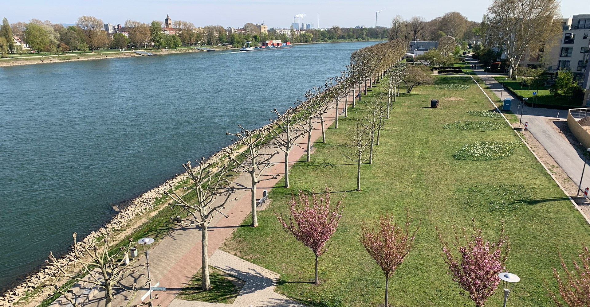Rhein mit Rheinpromenade